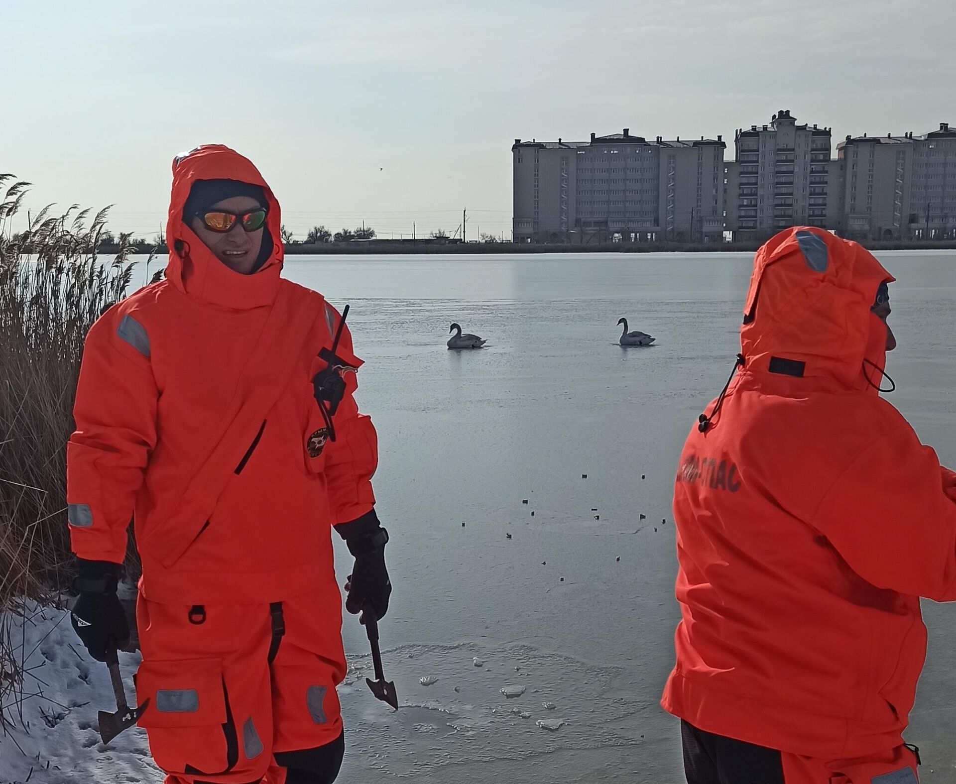 На озере Сасык-Сиваш спасены лебеди, попавшие в ледяной плен - РИА Новости, 1920, 19.01.2021