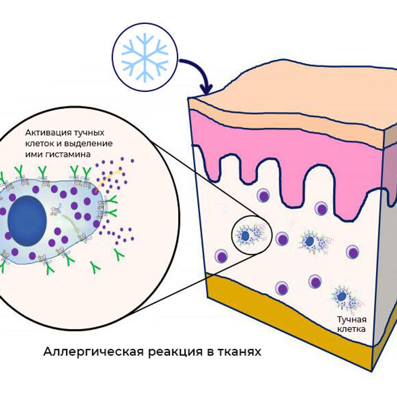 Шок у половины пациентов