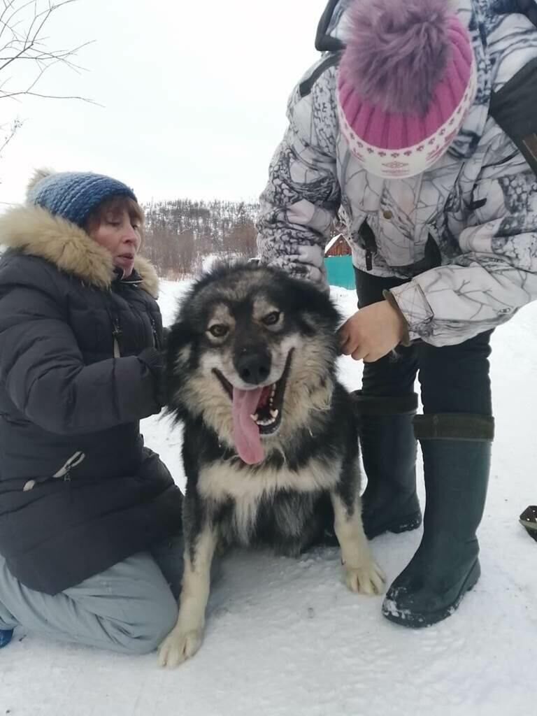 Волонтеры приюта для животных на Чукотке Марина, Света и собака Сережа - РИА Новости, 1920, 21.01.2021