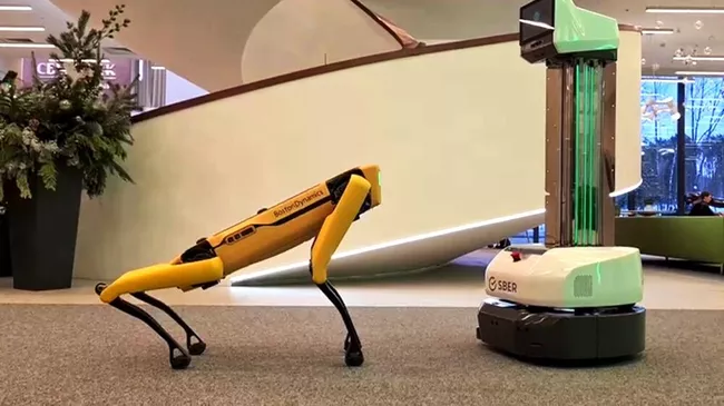 Робот-собака от Boston Dynamics, которого приобрел Сбер