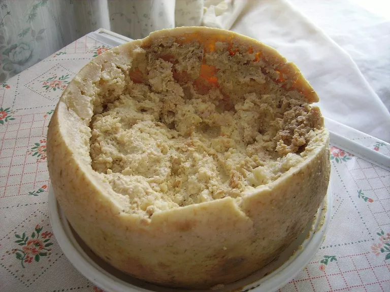 Сыр Касу марцу Сыр Касу марцу