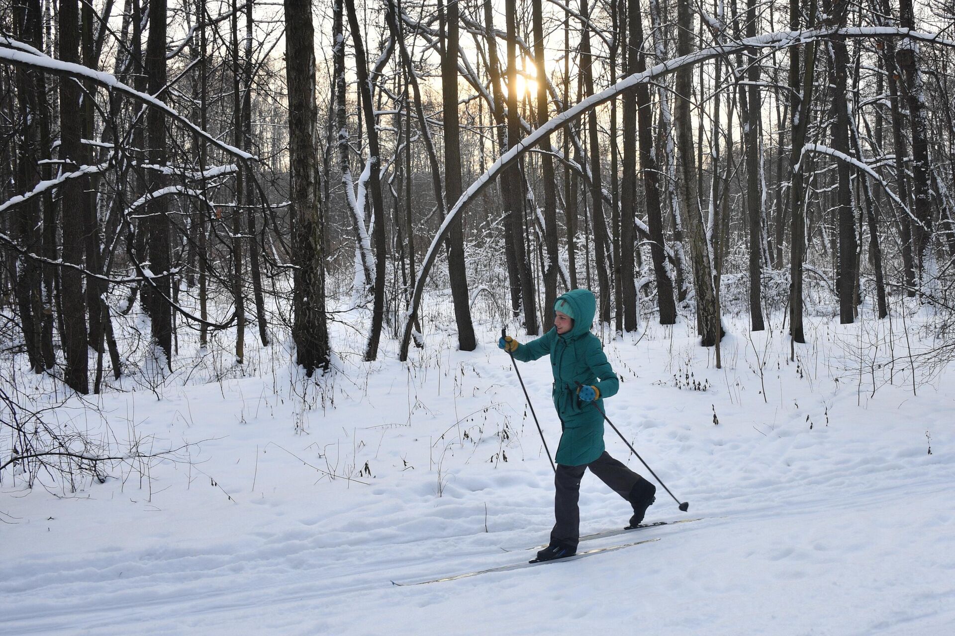 Девушка на лыжах в парке - РИА Новости, 1920, 22.01.2021