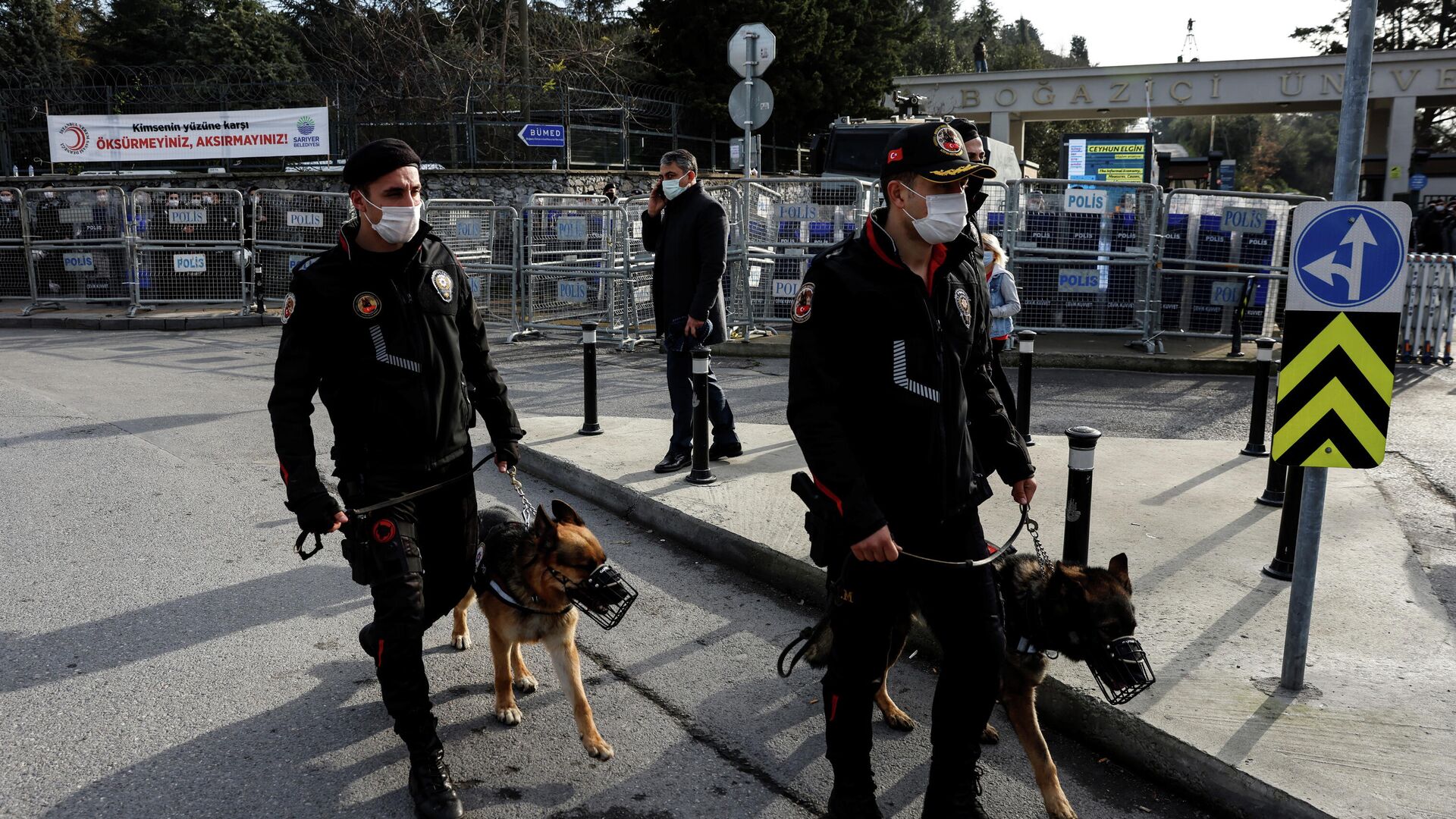 Нападение в стамбуле. Нападение на россиян за рубежом. Собаки на улицах Стамбула. Нападки на россиян за границей.