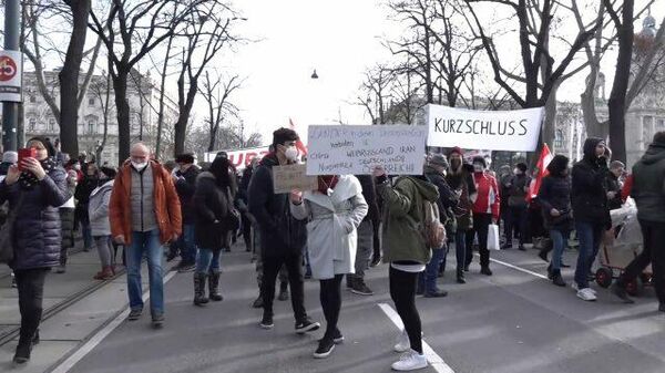 Столкновения полиции с демонстрантами на акциях протеста в Вене