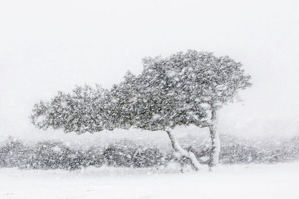 Работа фотографа Alessandro Carboni, занявшая 1 место в категории Пейзажи и земные элементы фотоконкурса TPOTY 2020