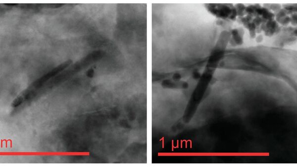 Электронно-микроскопические изображения магнитных игл и цилиндров, найденных в породах эоценового возраста