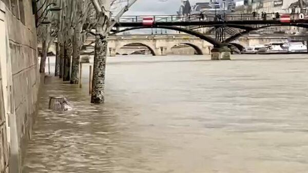 Деревья и набережные в Париже затоплены наводнением
