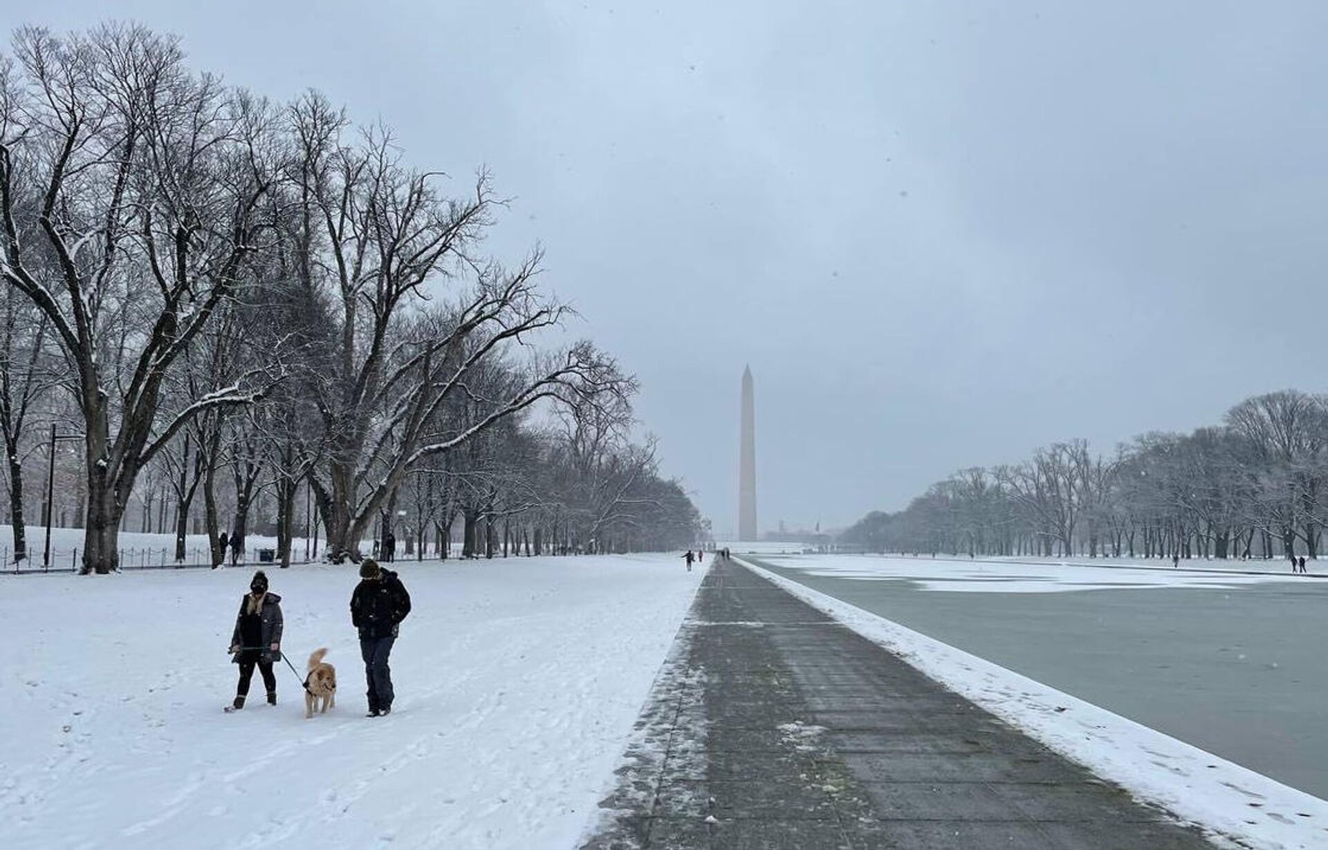 Жители гуляют с собакой на Национальной аллее в Вашингтоне - РИА Новости, 1920, 04.02.2021