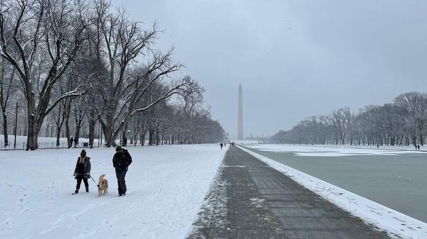 Жители гуляют с собакой на Национальной аллее в Вашингтоне