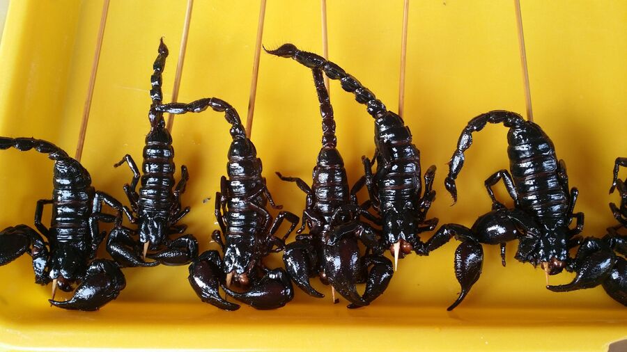 Жареные скорпионы в Китае