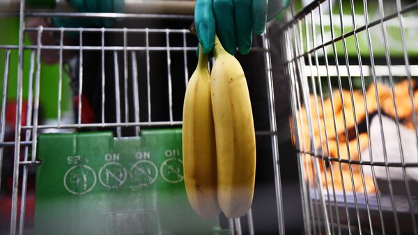 Покупатель выбирает фрукты в продуктовом магазине в Москве