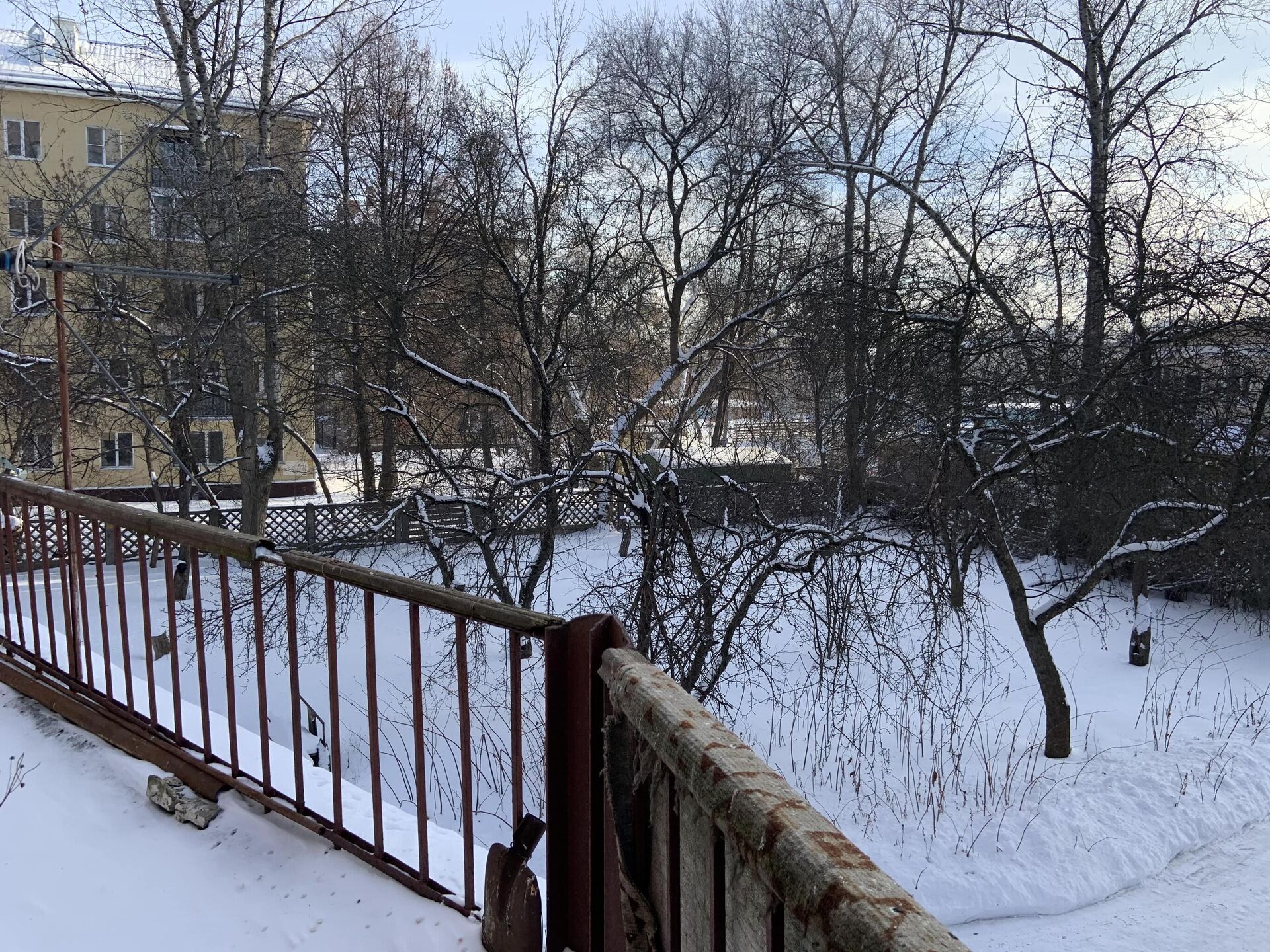 Вид с балкона - РИА Новости, 1920, 04.02.2021