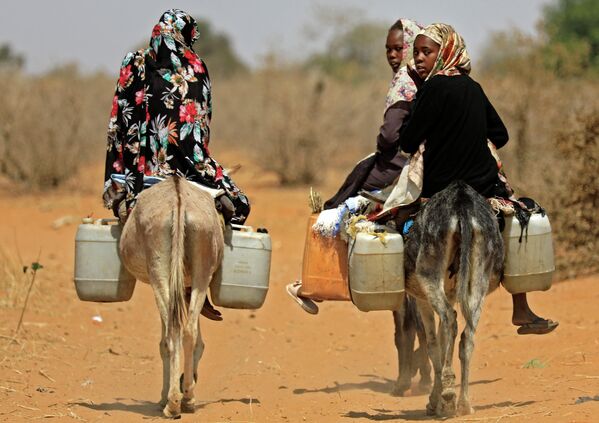Суданские женщины перевозят воду на осликах в деревне к югу от города Ньяла