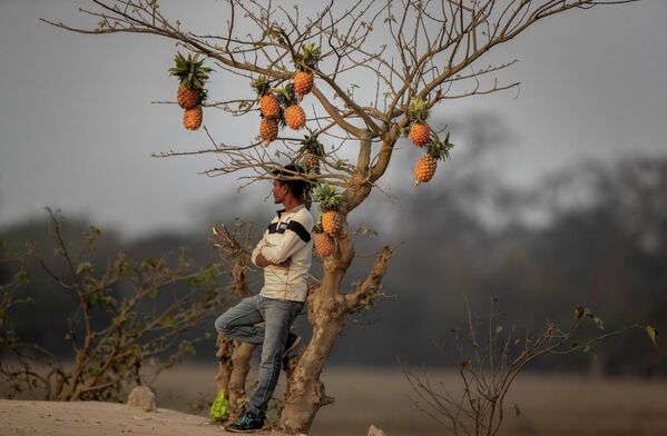 Продавец фруктов на окраине Гувахати в Индии