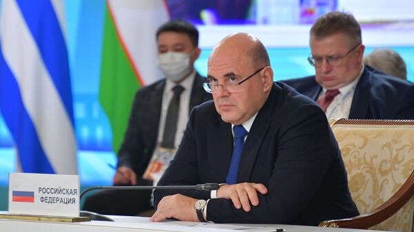  Председатель правительства РФ Михаил Мишустин принимает участие в заседании Евразийского межправительственного совета стран ЕАЭС