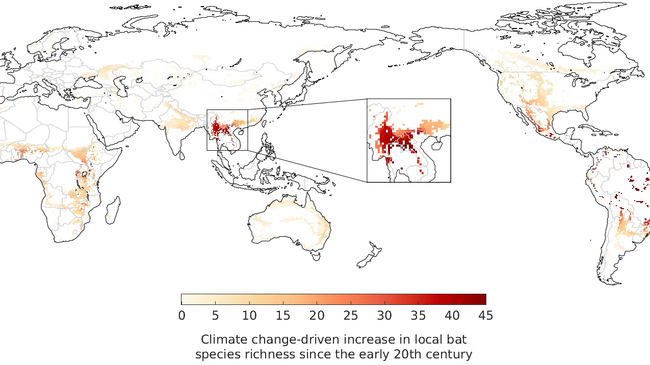 Рост числа локальных видов летучих мышей по сравнению с началом XX века. Увеличенная область — вероятная зона происхождения переносимого летучими мышами вируса — предка SARS-CoV-2