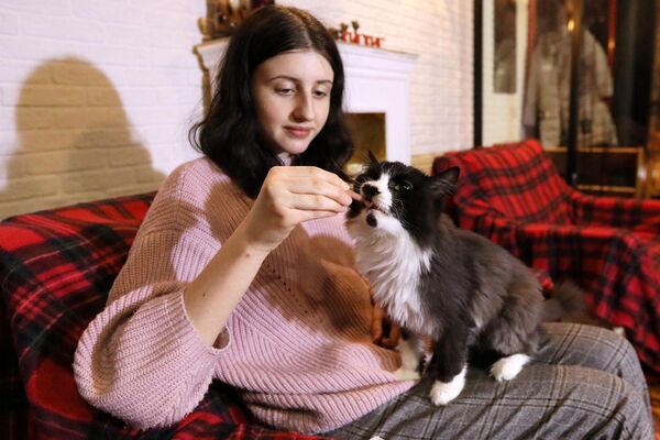 Посетительница кормит кота в котокафе Кис-кис в Красноярске