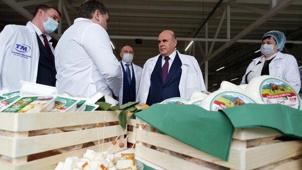 Председатель правительства РФ Михаил Мишустин во время посещения молочного завода Тамбовский в Гагаринском районе Адыгеи