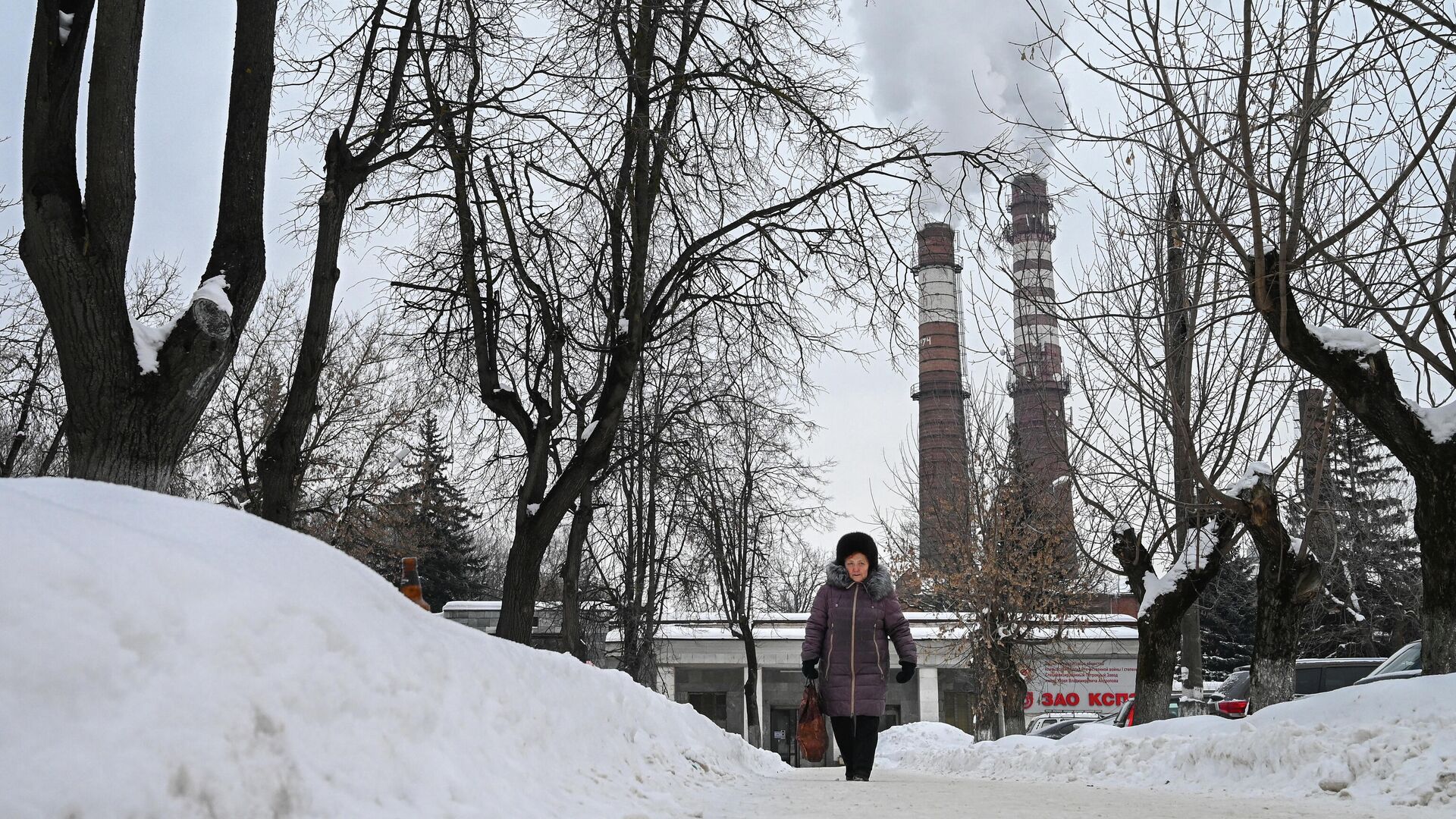 Зима в Московской области - РИА Новости, 1920, 05.01.2024