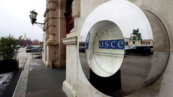 Вход и логотип Организации по безопасности и сотрудничеству в Европе (ОБСЕ) во дворце Хофбург в Вене