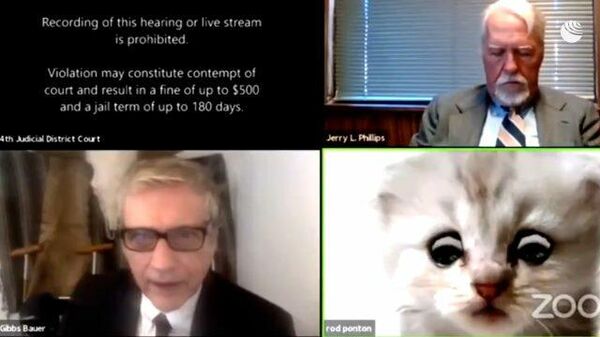 “Я не кот”: адвокат появился на онлайн-суде в необычном виде