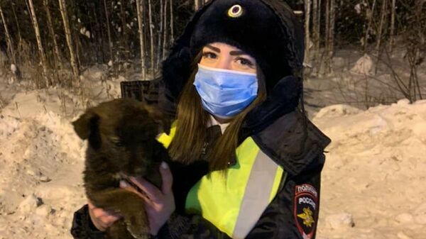 В городе Пыть-Яхе ХМАО полицейские спасли бездомного щенка