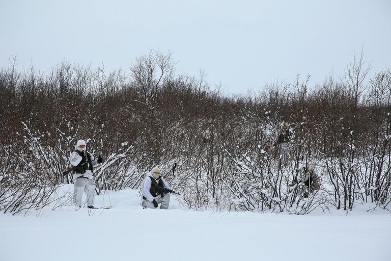 Военнослужащие разведывательного подразделения Печенгской бригады Северного флота на занятиях по тактической подготовке на боевых арктических вездеходах Алеут в Печенгском районе Мурманской области