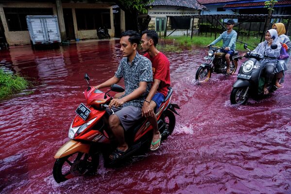Люди едут на мопедах по реке, окрашенной в красный цвет концентратами красок с завода батика в селе Дженгот, Индонезия 