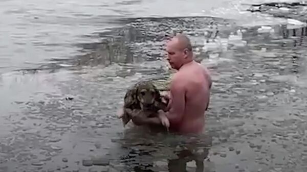 Спасение собаки из ледяной полыньи в Волгограде. Кадр из видео