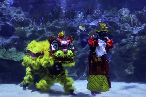 Дайверы исполняют подводный танец льва в Аквариуме KLCC во время празднования Китайского Нового года в Куала-Лумпуре, Малайзия
