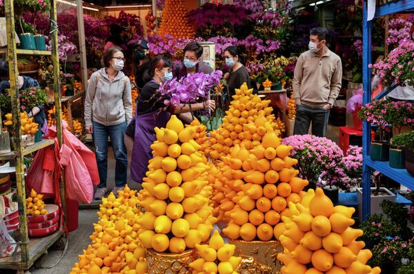 Праздничная торговля на цветочном рынке во время подготовки к предстоящему Китайскому Новому году в Гонконге