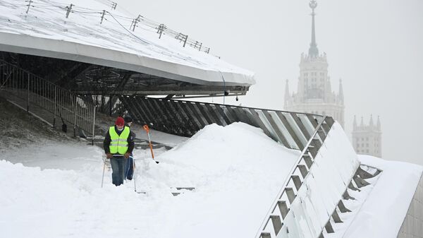 Сотрудники коммунальных служб убирают снег в природно-ландшафтном парке Зарядье в Москве