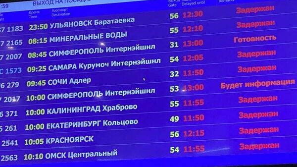 В Домодедово объяснили задержку рейсов