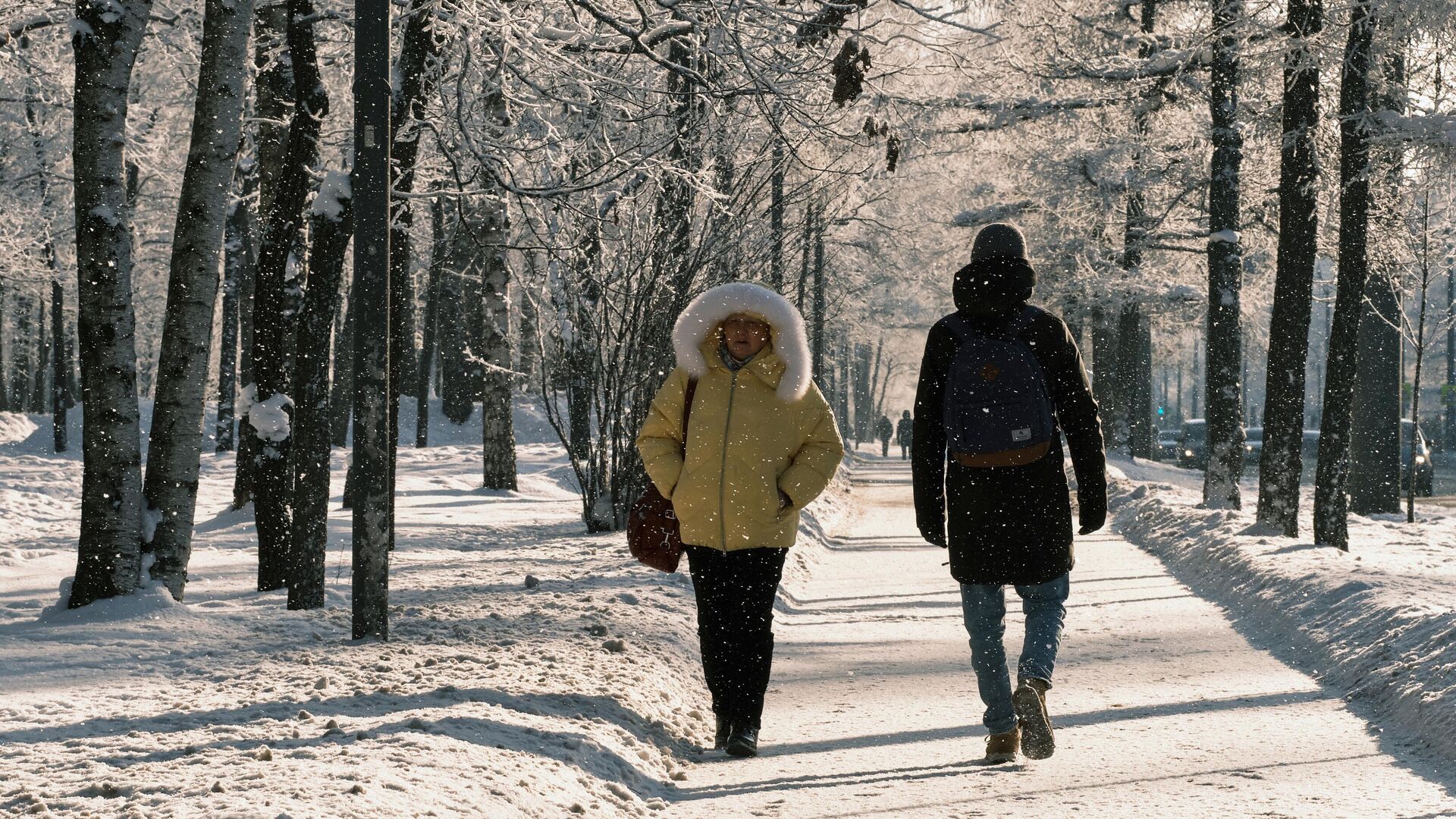 Зима в парке - РИА Новости, 1920, 19.01.2022