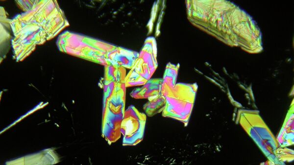 Микрокристаллы янтарной кислоты