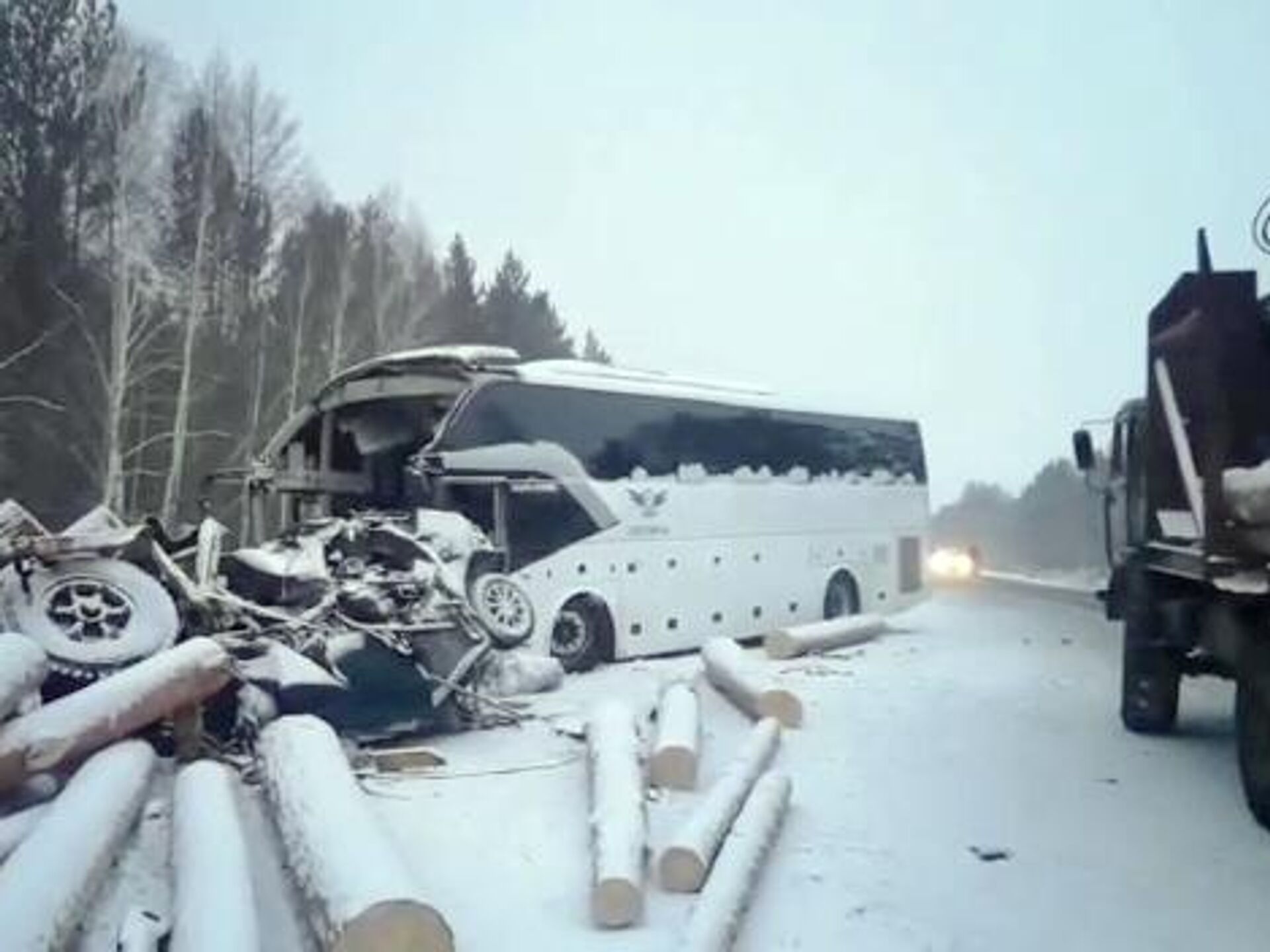 В Иркутской области установили личности пяти погибших в ДТП с лесовозом -  РИА Новости, 17.02.2021