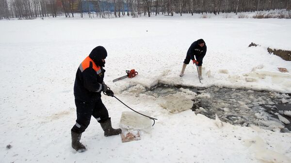Спасатели увеличили полынью для диких уток на реке Урочь в Ярославле
