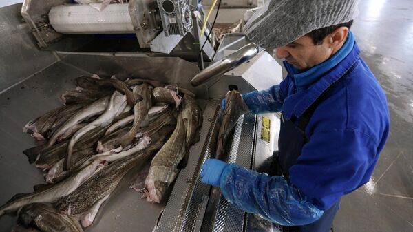 Активы семи дальневосточных рыбопромышленных компаний перешли государству