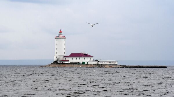 В Совфеде осудили идею Эстонии об ограничении судоходства в Финском заливе