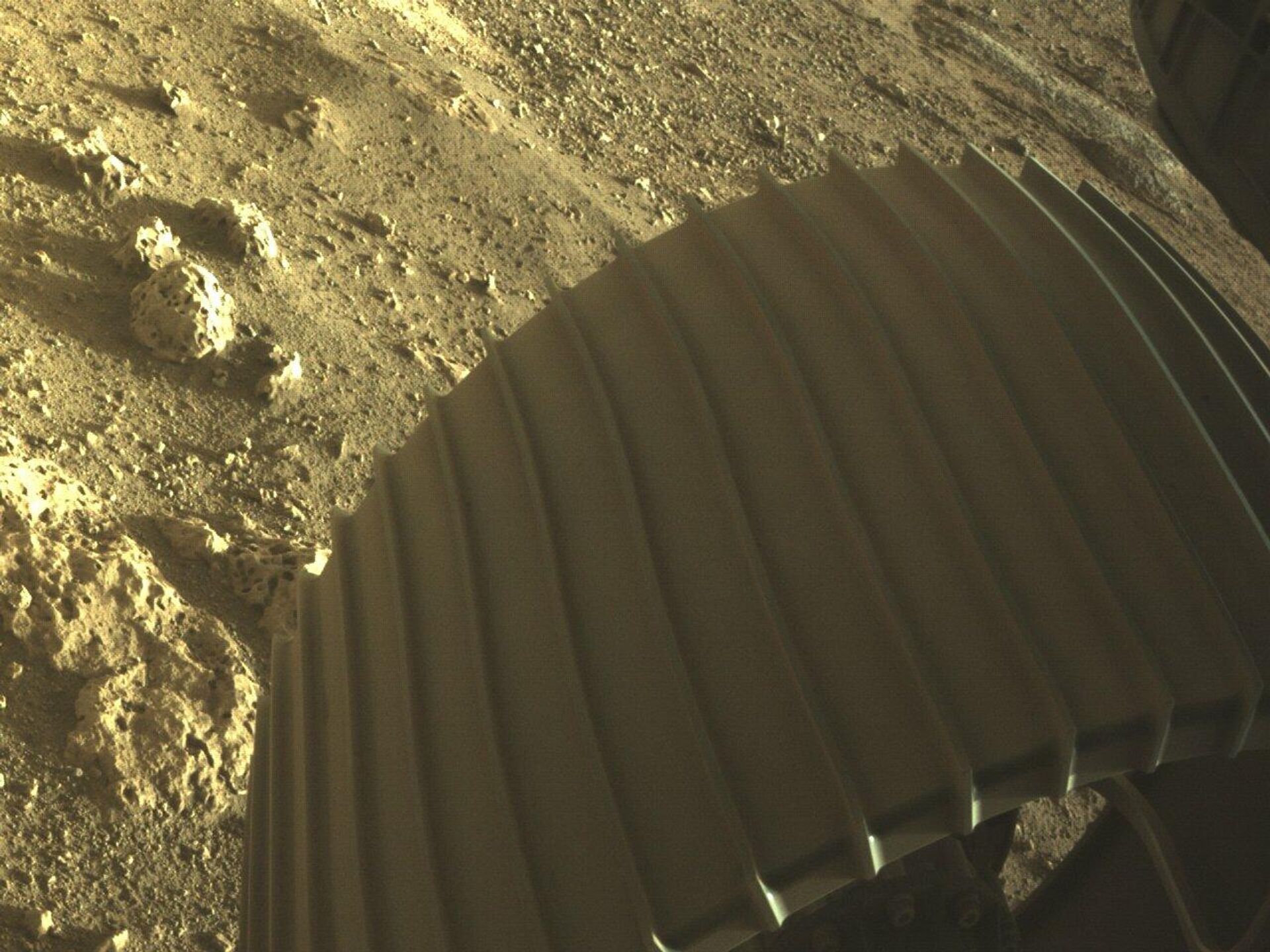Фотографии, снятые исследовательским аппаратом NASA's Perseverance Mars Rover, который совершил посадку на Марсе в ночь на 19 февраля - РИА Новости, 1920, 20.02.2021