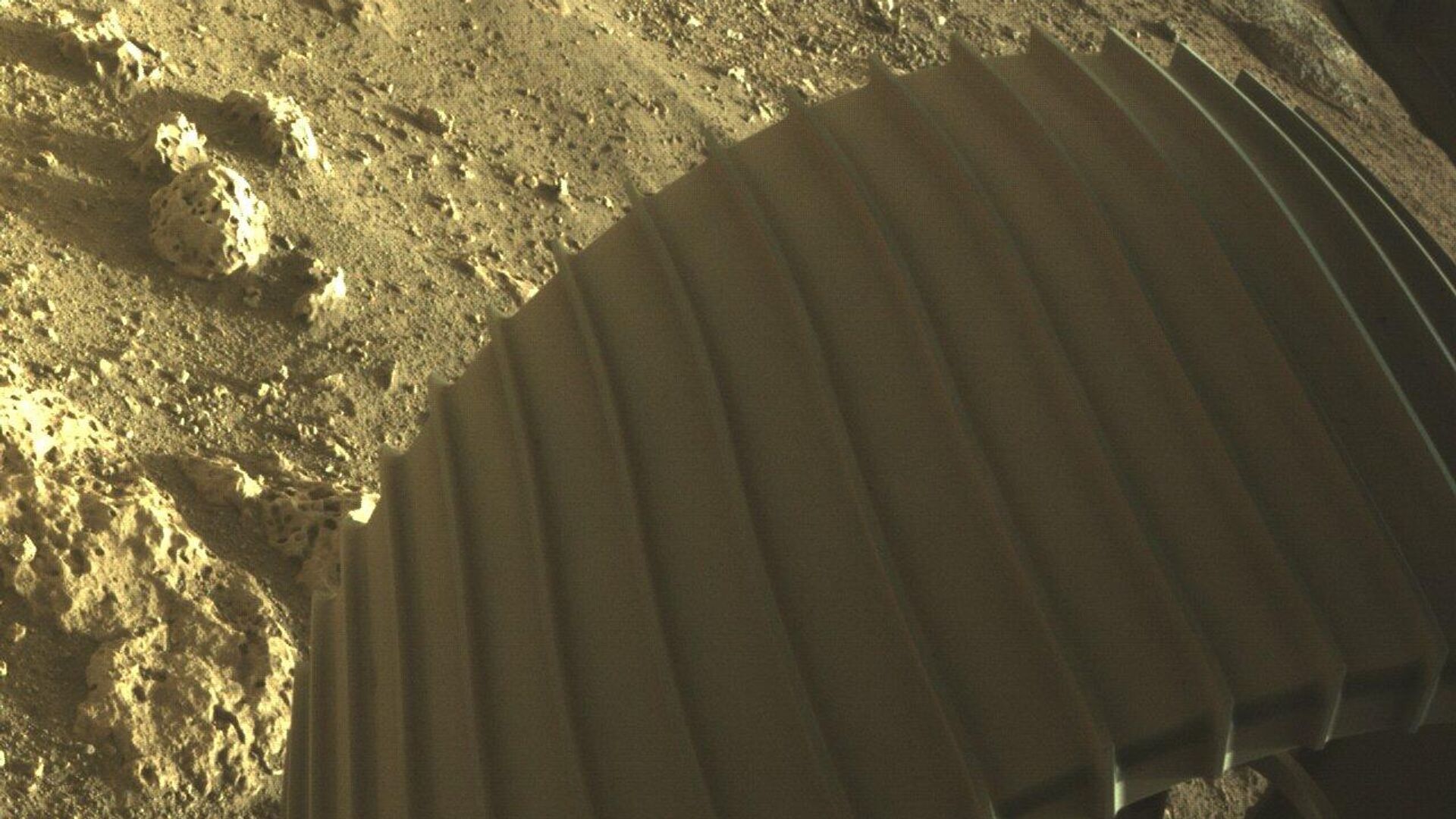 Фотографии, снятые исследовательским аппаратом NASA's Perseverance Mars Rover, который совершил посадку на Марсе в ночь на 19 февраля - РИА Новости, 1920, 21.02.2021