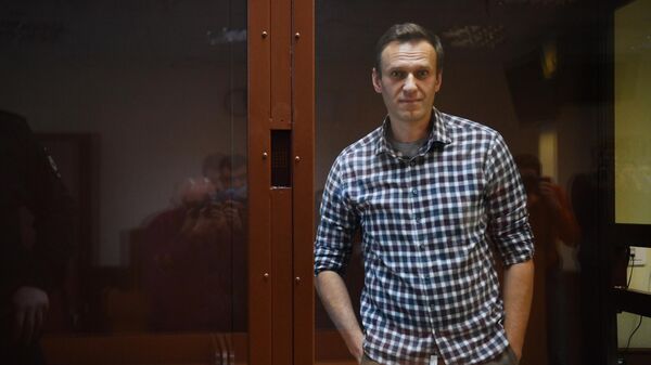 Шульгин объяснил, почему Запад поддерживает тему "отравления" Навального