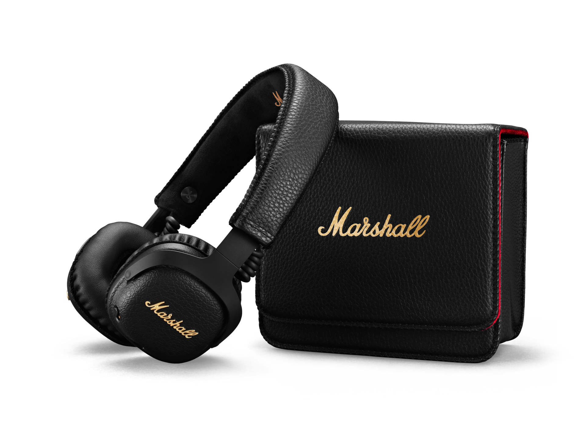 Marshall Mid A.N.C. - РИА Новости, 1920, 20.02.2021