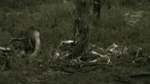 Кадр из фильма Тропа смерти