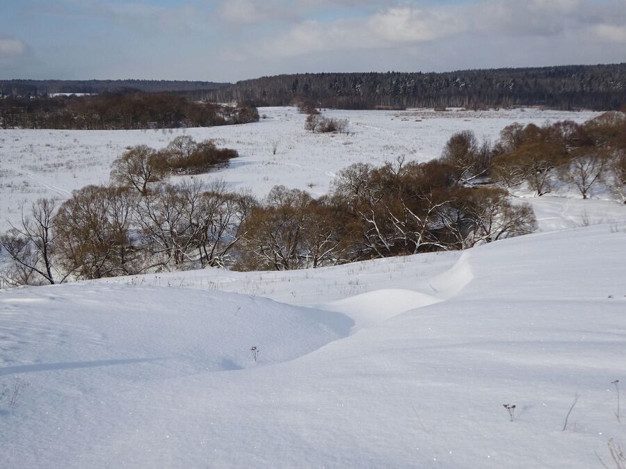 На вершине городища 