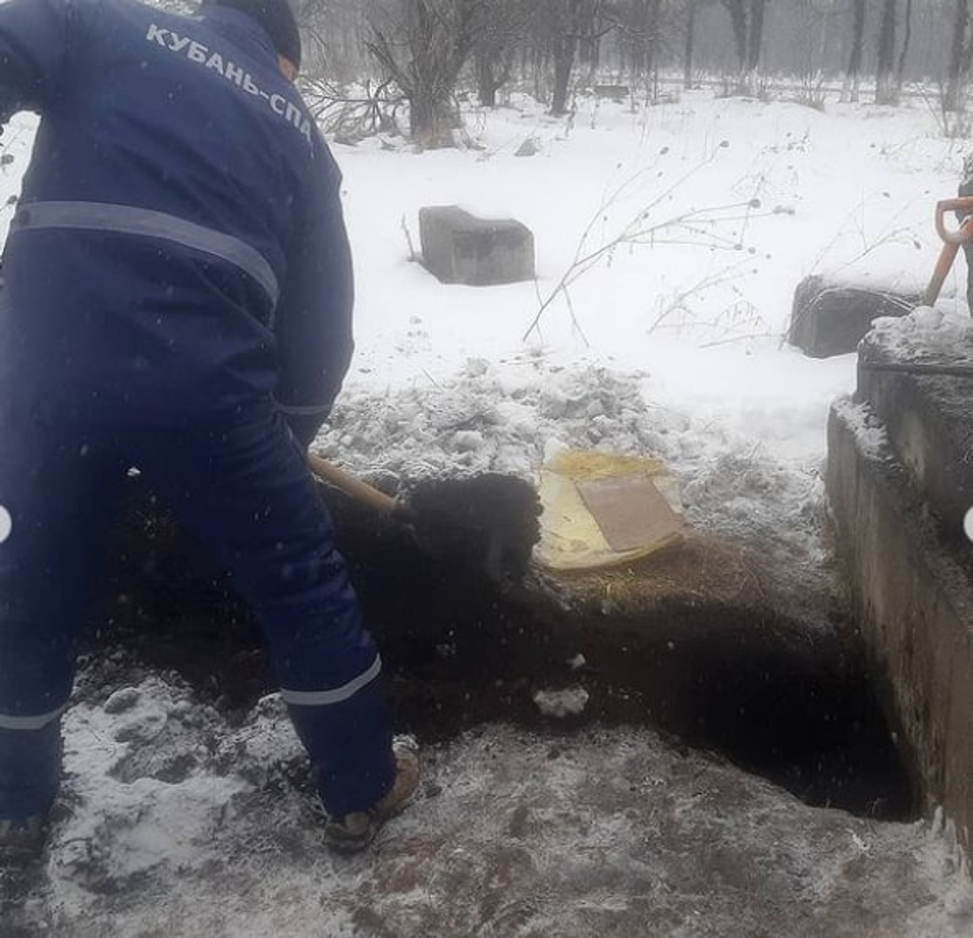 Спасатели в Краснодарском крае вытащили пса, застрявшего между бетонных плит - РИА Новости, 1920, 25.02.2021