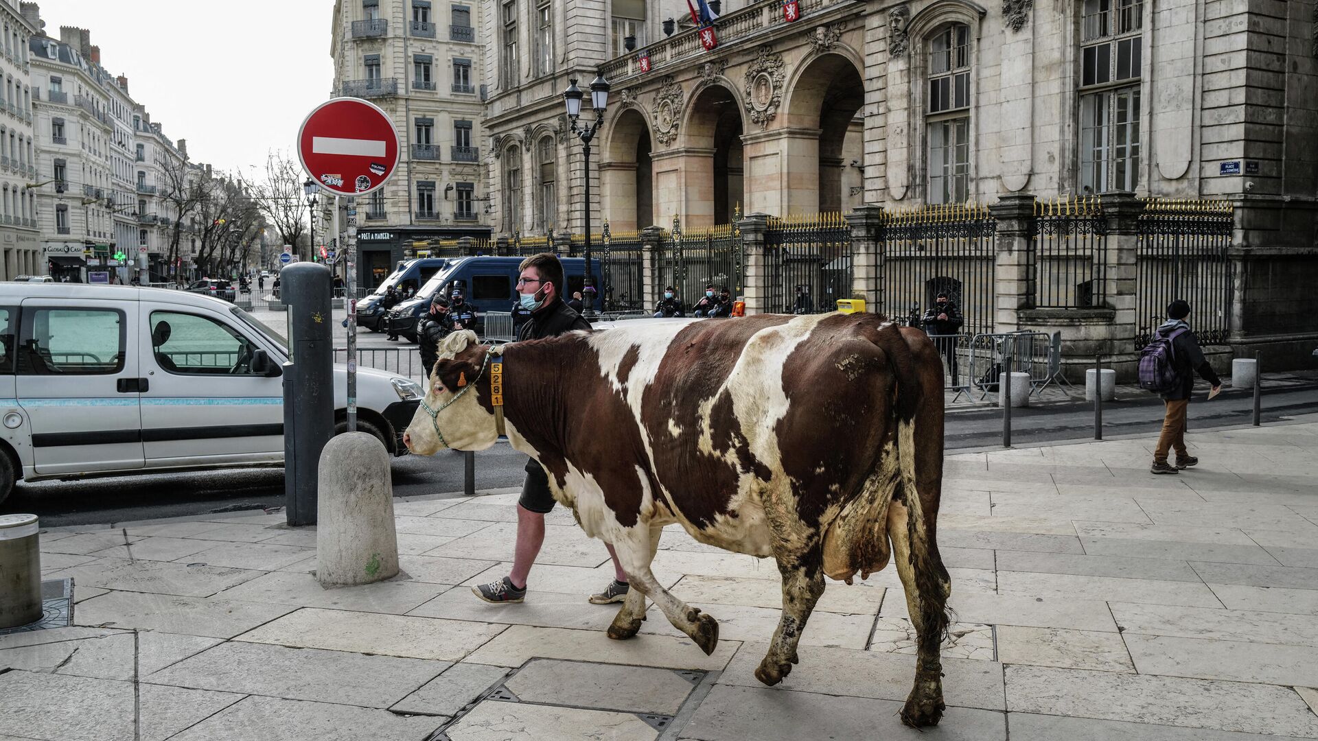 Фермер выгуливает корову перед мэрией Лиона во время акции против предложения исключить мясо из меню школьных столовых - РИА Новости, 1920, 26.02.2021