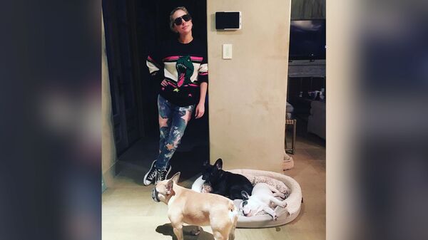 Леди Гага с собаками