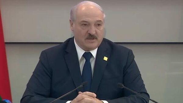 Лукашенко: Ни один мой ребенок президентом не будет