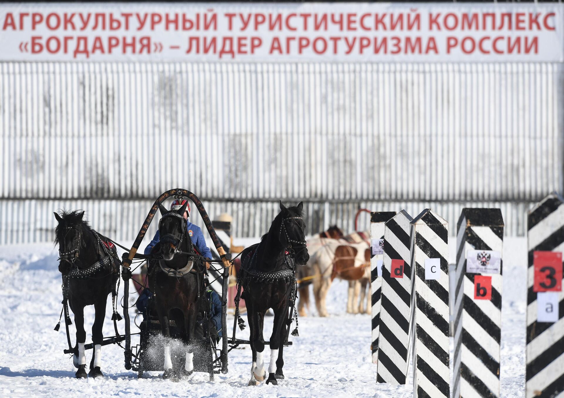 Участники фестиваля русской тройки Владимирский тракт - 2021 - РИА Новости, 1920, 06.06.2021